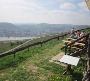 Restaurant Rebenhaus 