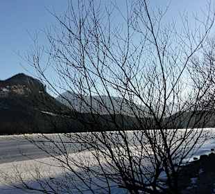 Landschaft 