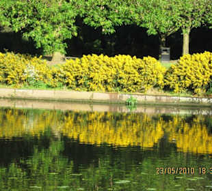 Abbey Park (Park (rezerwat, zoo, safari, itd.))