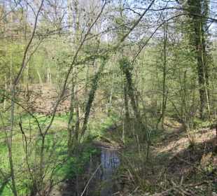 Bei der Lingenfelder Grotte