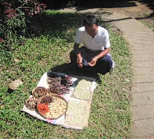 Wayan erklärt Gewürze am Straßenrand