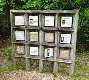 Quizstation im Ahlenmoor