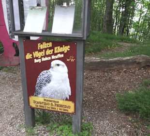 Burgruine Hohenneuffen