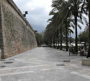 Palma de Mallorca