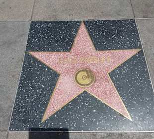 Hollywood Walk of Fame