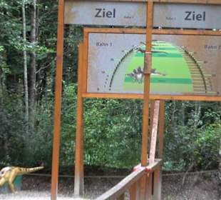 Dinosaurier Museum Altmühltal