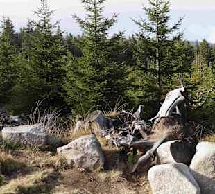 Riesengebirge/Karkonosze