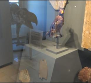 Jura-Museum