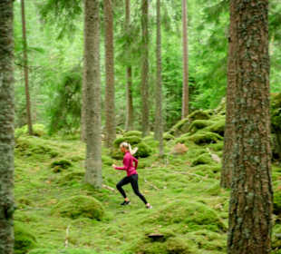 Tivedens Nationalpark