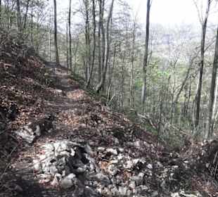 Wanderweg Hochgehkämpft