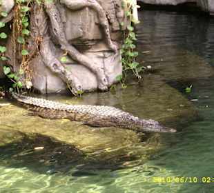 Tierpark Hagenbeck