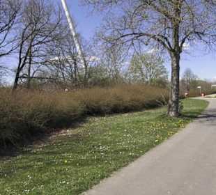 Sport- und Freizeitpark Markwasen