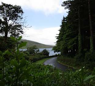 Glenveagh Castle