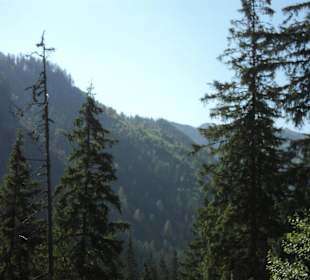 Tatrzański Park Narodowy