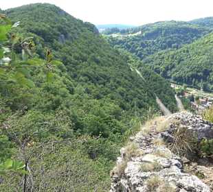 Premiumwanderweg hochgehkeltert Neuffen