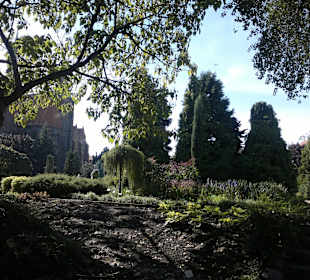 Widok ogrodu