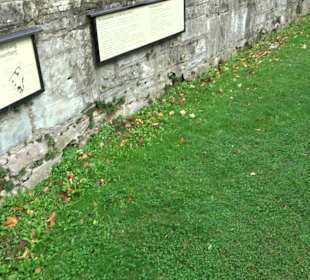 Bodendenkmal Wasserburg