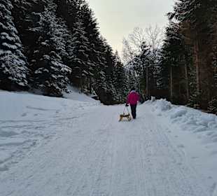 Wandern Ahorn Mayrhofen