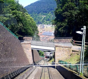 Fahrt mit der Schlossbahn