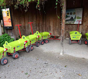 Kostenlose Bollerwagen für Kleinkinder