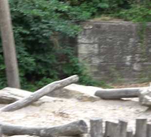 Spielplatz Oberer Zwinger