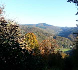 Traumpfad mit Traumblick