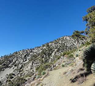 Все выше и выше - дорога все уже
