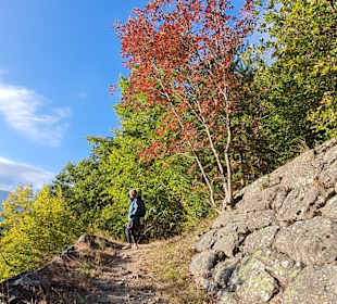 Wanderung via Alpina Bozen-Jenesien-Meran 2000