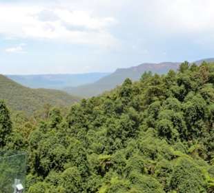 Blue Mountains