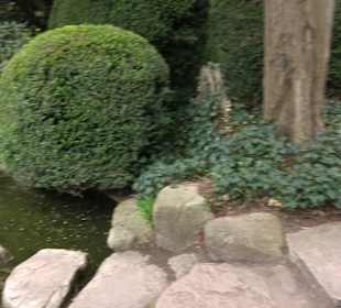 Zoologischer Stadtgarten