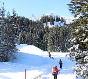 Skitouren Rodeln Winterwandern