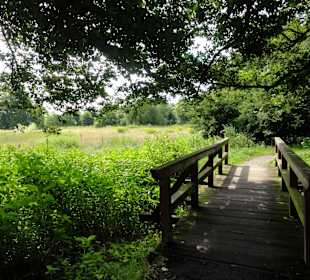 Unterwegs auf dem Huntepadd