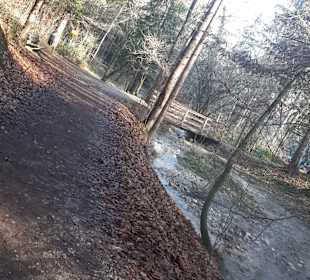 Maibachl-Quellen