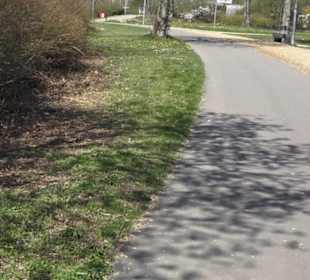Sport- und Freizeitpark Markwasen