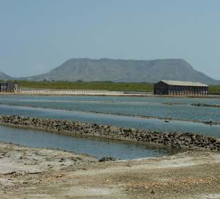 Salzgewinnung bei Monte Christi
