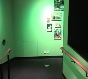 Naturparkzentrum Ruhestein