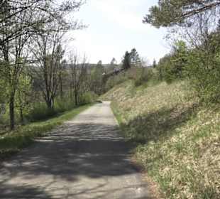 Waldlehrpfad an der Lauter