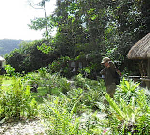 Eingangsbereich mit Grünanlage