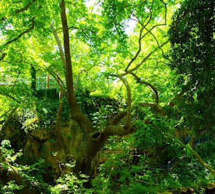 Düden der Wasserfall/Park