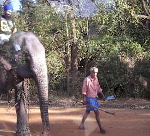 Elefantenreiten am Berg