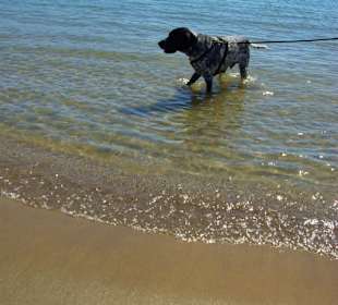 Ok es reicht jetzt aber