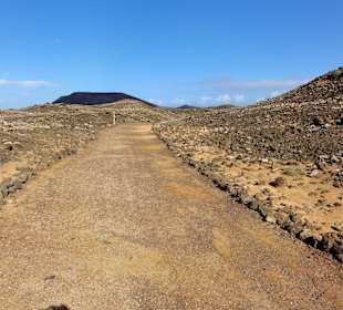 Impressionen von der Insel Lobos