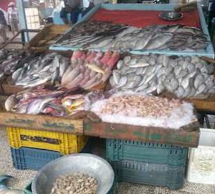 Auf dem Fischmarkt in Sakkala /Neustadt Hurghada