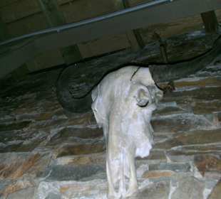 Raubritterburg Thurant