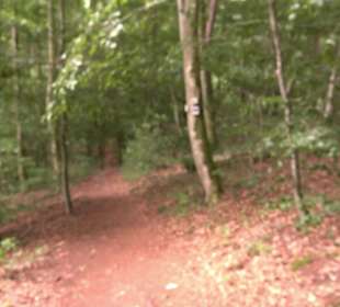 Wanderrunde Emeringen zum Rechtenstein