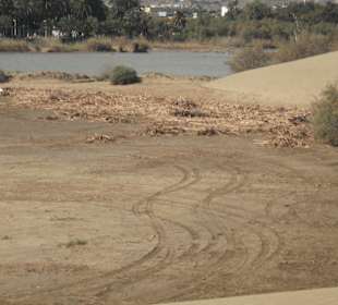 Strand von Maspalomas