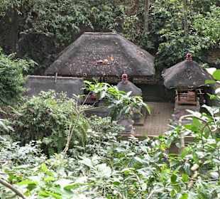 Monkey Forest & Park