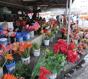 Auf dem Markt von Suva