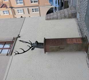 Jelenia Gora - Hirsch