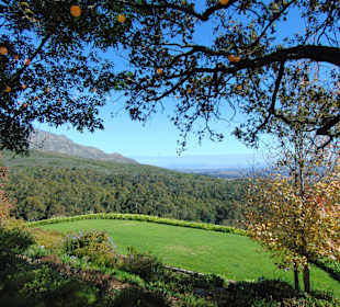 Weingut Tokara in Stellenbosch